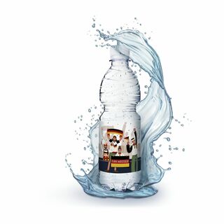 500 ml PromoWater - Mineralwasser zur Fußball Europameisterschaft, still - Eco Papier-Etikett 2P003Pf