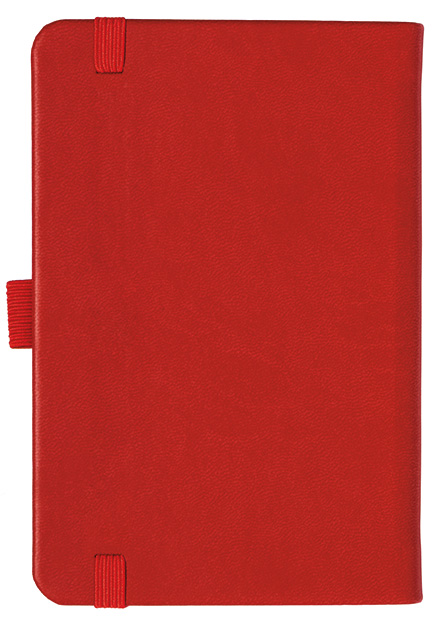 Notizbuch Style Small im Format 9x14cm, Inhalt kariert, Einband Slinky in der Farbe Scarlet