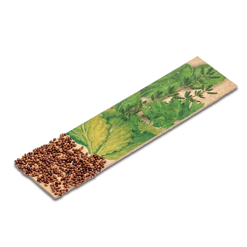 Kräuter-Stick mit Samen - Gartenkresse