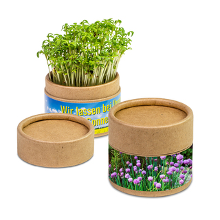 Pflanz-Cup mit Samen - Schnittlauch