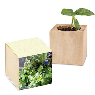 Pflanz-Holz mit Samen (Graspapier-Banderole) - Kräutermischung, 1 Seite gelasert