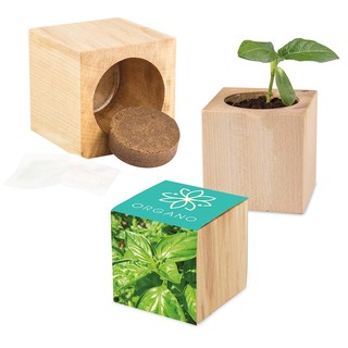 Pflanz-Holz Maxi mit Samen - Basilikum, 1 Seite gelasert