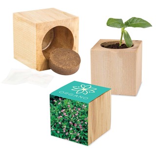 Pflanz-Holz Maxi mit Samen - Persischer Klee, 1 Seite gelasert