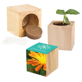 Pflanz-Holz Maxi mit Samen - Ringelblume, 1 Seite gelasert