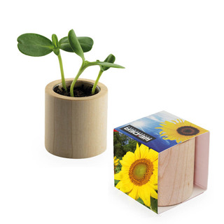 Pflanz-Holz rund mit Samen - Sonnenblume, Lasergravur