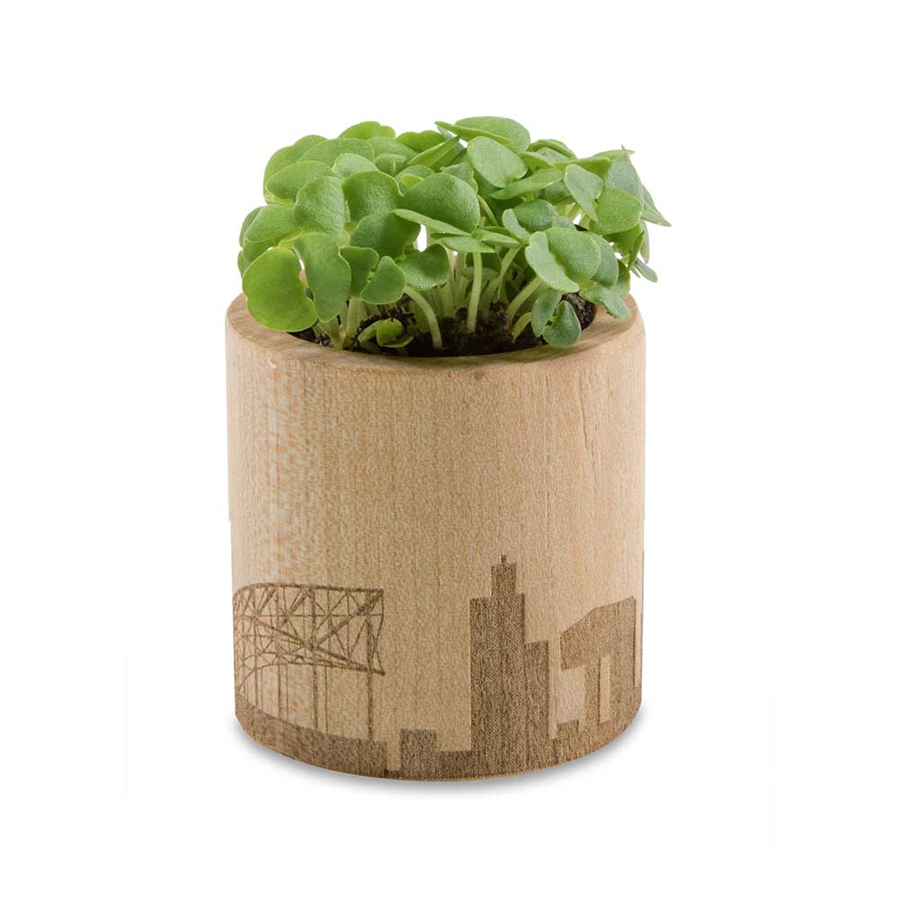 Pflanz-Holz rund mit Samen - Sonnenblume, Rundum-Lasergravur