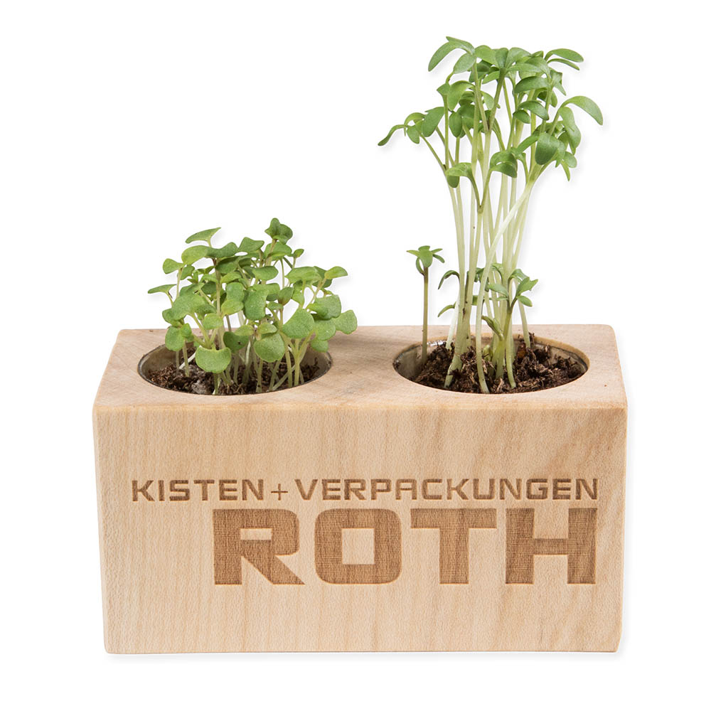 Pflanz-Holz 2er Set mit Samen - Sonnenblume, 2 Seiten gelasert
