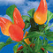 Pflanz-Fässchen mit Samen - Gewürzpaprika