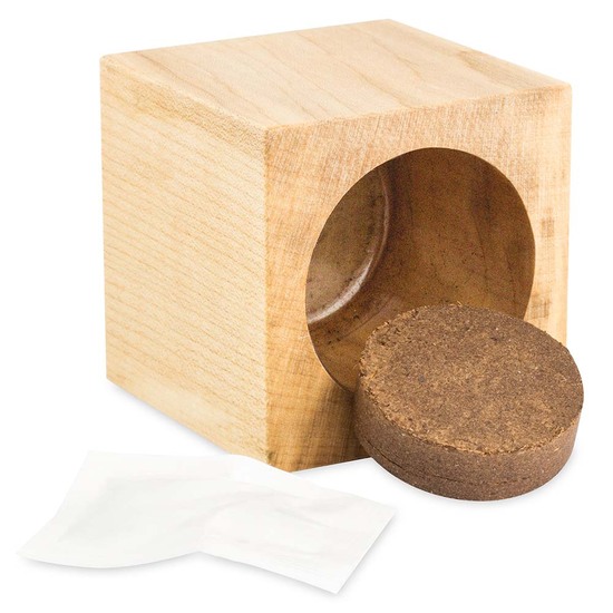 Pflanz-Holz Star-Box mit Samen - Glücksklee-Zwiebel (* Je nach Verfügbarkeit der Glücksklee-Zwiebeln)