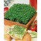 Pflanz-Holz Maxi Star-Box mit Samen - Gartenkresse, 1 Seite gelasert