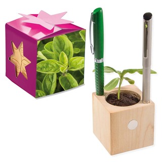 Pflanz-Holz Büro Star-Box mit Samen - Majoran