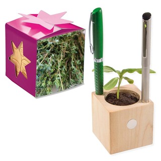 Pflanz-Holz Büro Star-Box mit Samen - Thymian, 1 Seite gelasert