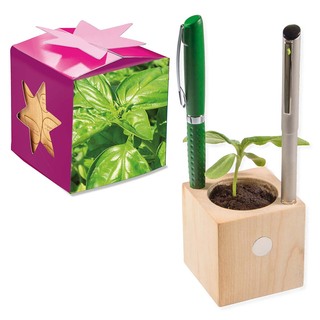 Pflanz-Holz Büro Star-Box mit Samen - Basilikum, 2 Seiten gelasert