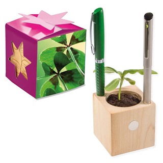 Pflanz-Holz Büro Star-Box mit Samen - Glücksklee-Zwiebel, 2 Seiten gelasert (* Je nach Verfügbarkeit der Glücksklee-Zwiebeln)