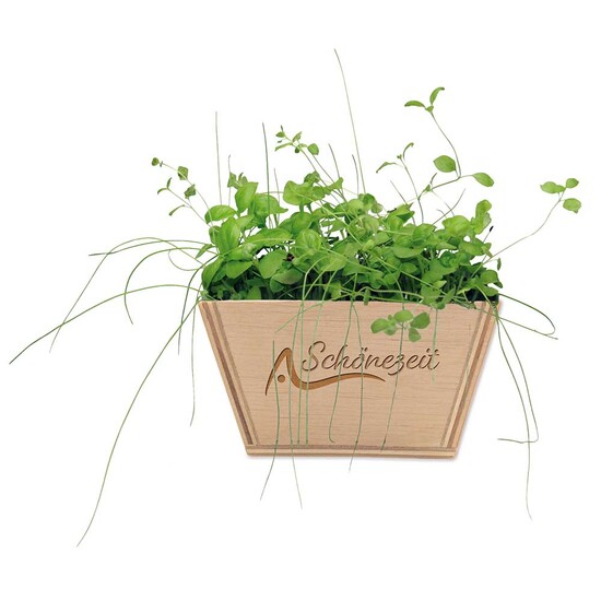 Mini-Beet mit Samen - Petersilie, Lasergravur