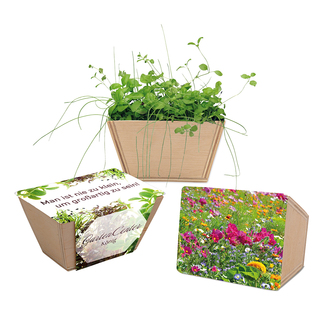 Mini-Beet mit Samen - Sommerblumenmischung, Lasergravur