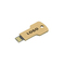 USB Stick Greencard key 32 GB