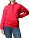 Softstyle® Midweight Sweat Adult Hoodie