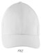 Six Panel Cap Solar