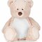 Zippie Teddy